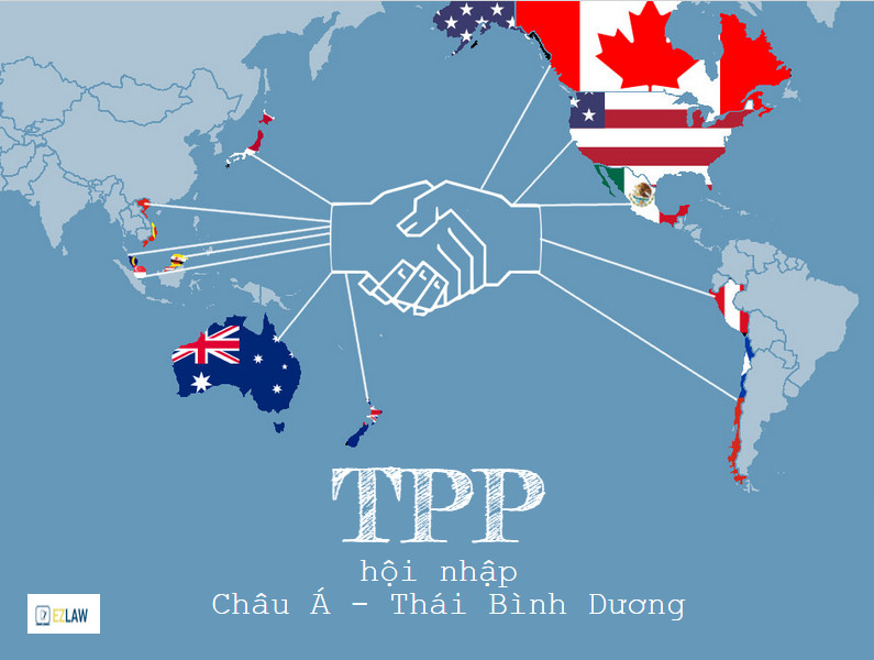 Hiệp định Đối tác xuyên Thái Bình Dương, cơ hội và thách thức - Hành động của chúng ta