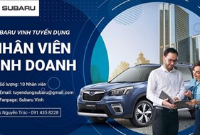  Công ty MIV Việt Nam thông báo tuyển dụng